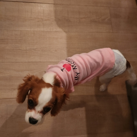 Meet your Posher, Raylene - Picture 6 of 9